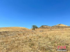 干旱如何影响土壤？116国数据研究称或促